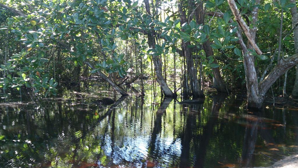 Casa Verde, Cahuita Zewnętrze zdjęcie
