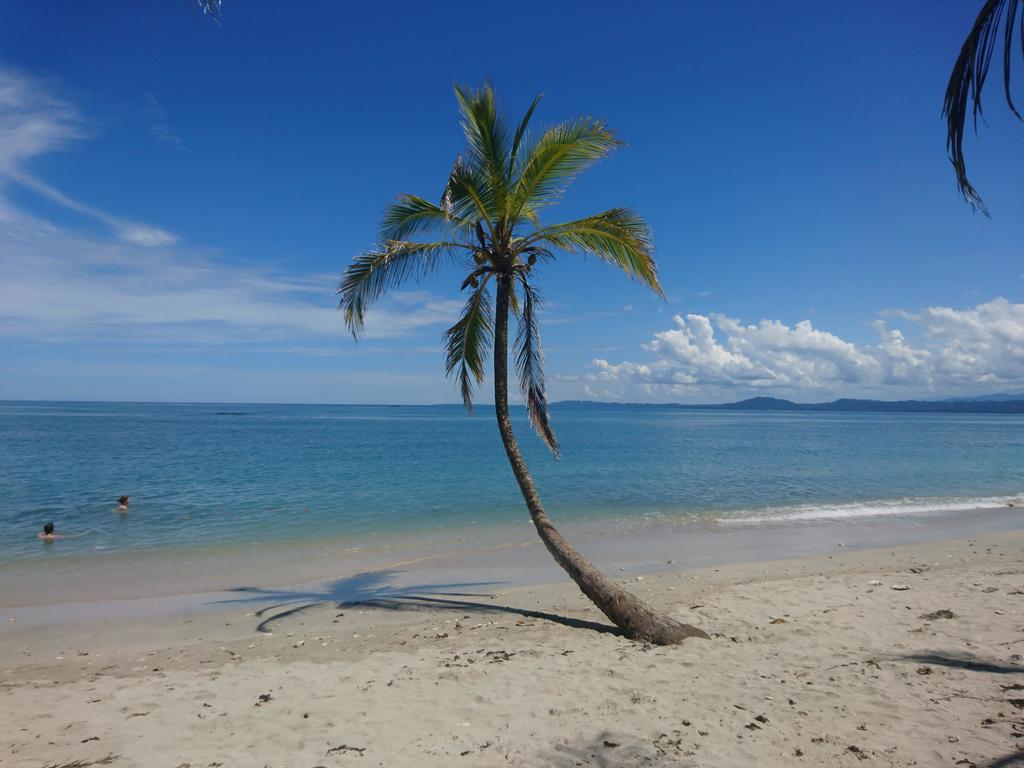 Casa Verde, Cahuita Zewnętrze zdjęcie
